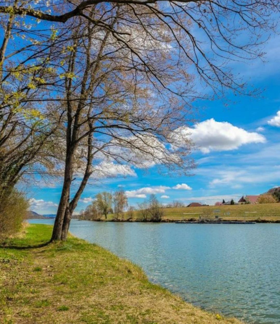 Apartment An Der Donau Krumnussbaum Eksteriør billede